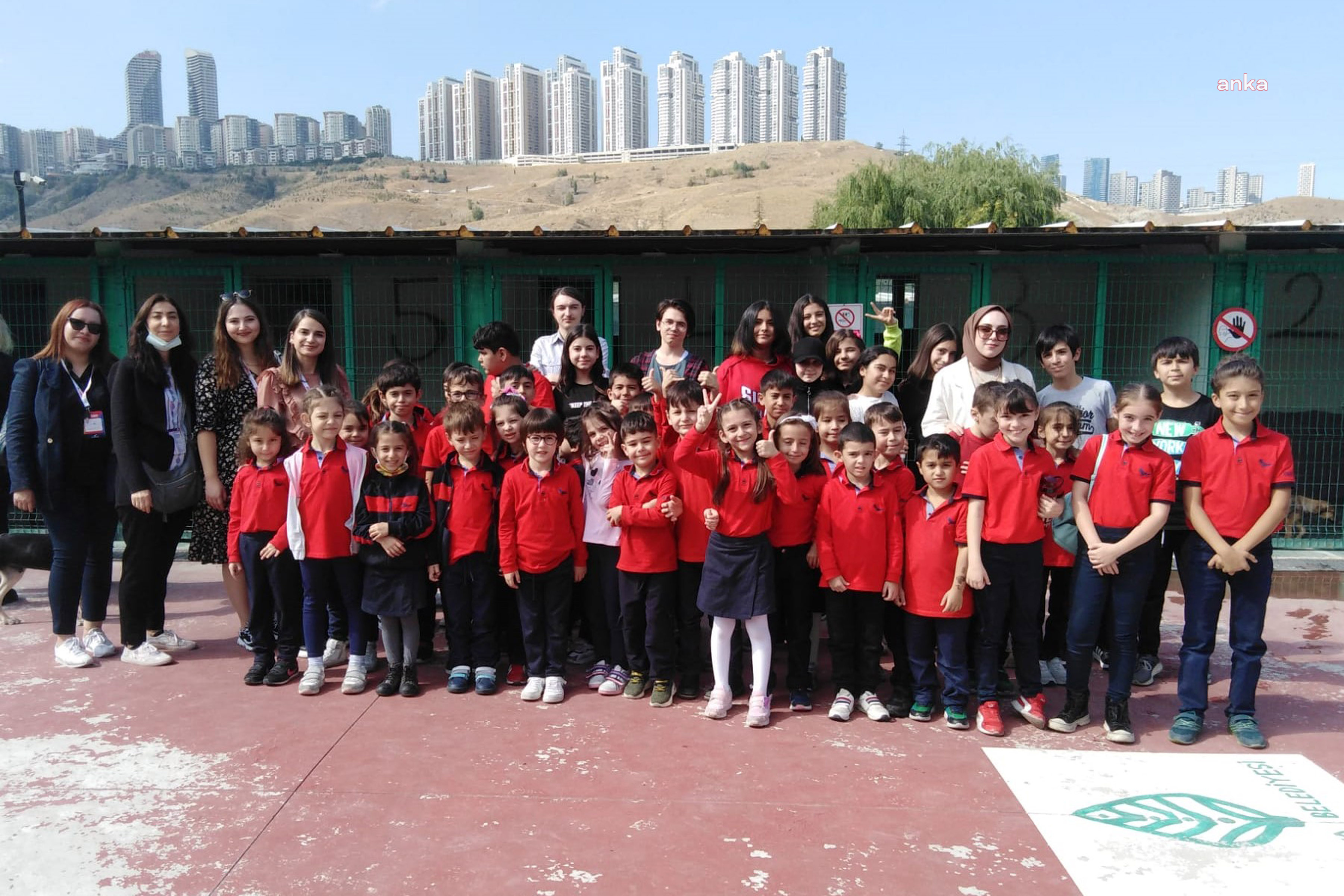ÇANKAYA'DA SOKAK HAYVANLARINA BİR GÜNDE 635 ZİYARETÇİ