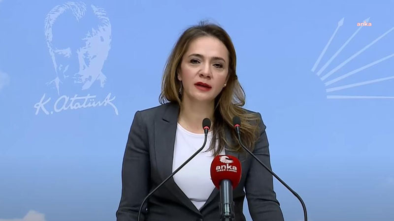 GAMZE AKKUŞ İLGEZDİ: “ADANA SAĞLIK MÜDÜRLÜĞÜ’NDE 252 SAĞLIK İŞÇİNİN DİNLENME HAKKI GASP EDİLMİŞTİR”