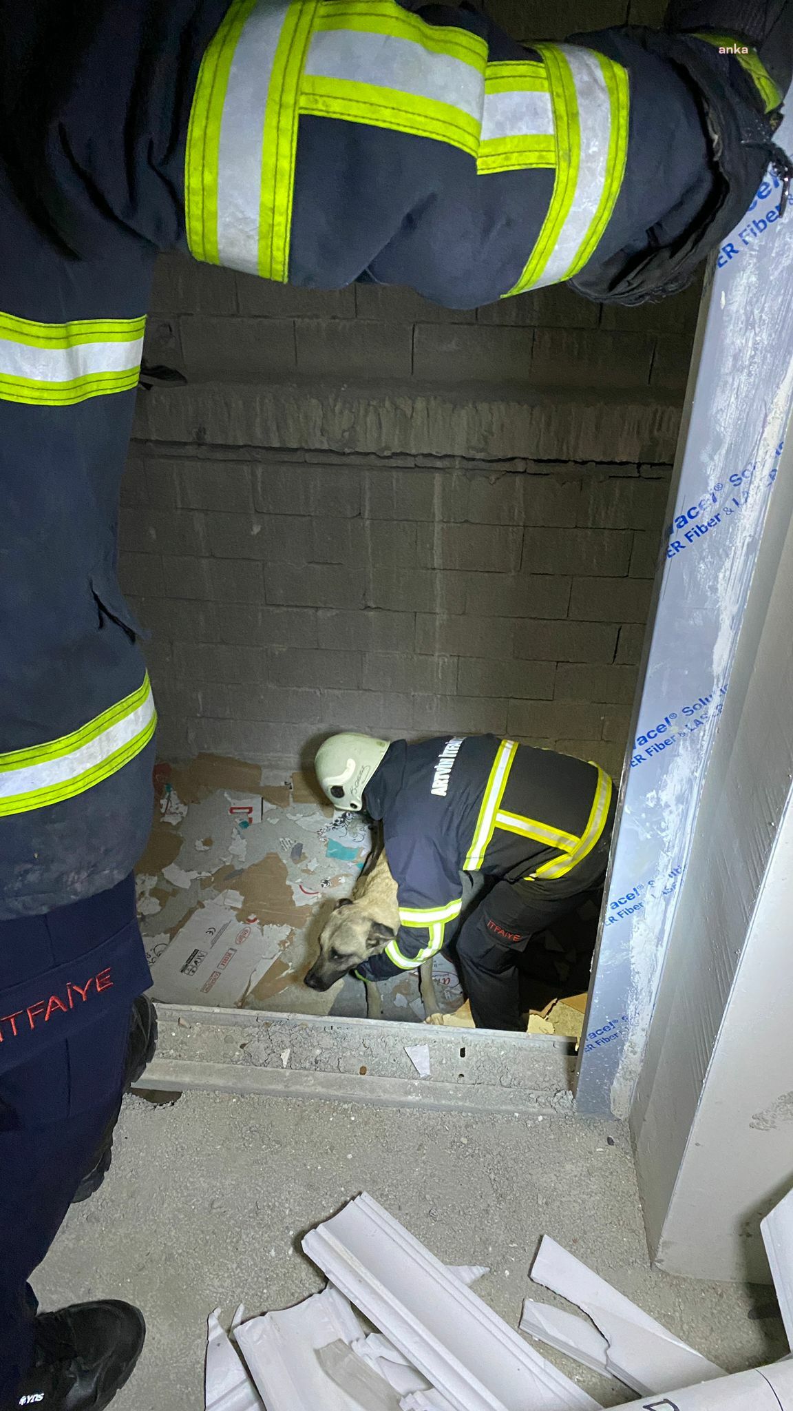 ARTVİN’DE ASANSÖR BOŞLUĞUNA DÜŞEN KÖPEK KURTARILDI