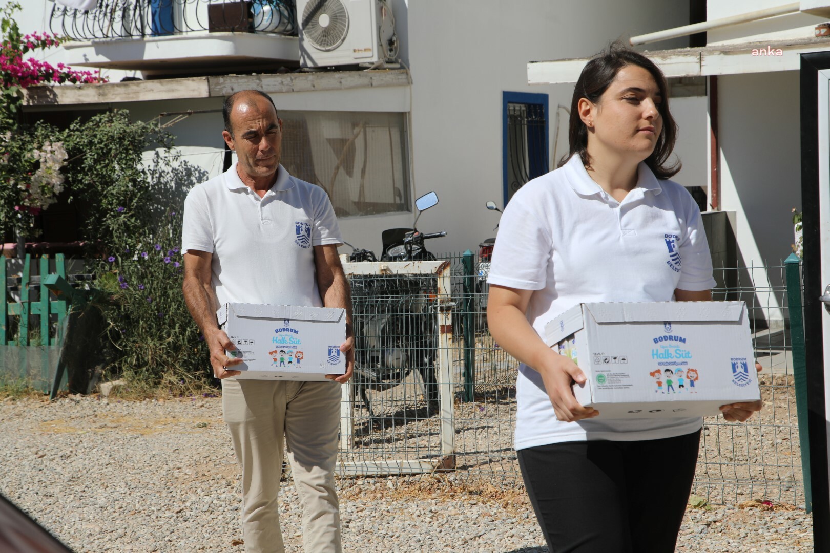 BODRUM HALK SÜT DAĞITIMI SÜRÜYOR