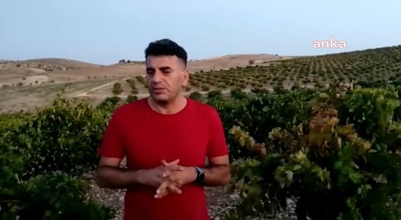 ELAZIĞ KORUK KÖY, DAMBÜYÜK, ESENKENT TARIMSAL KALKINMA KOOPERATİF BAŞKANI GÜRKAN BEKTAŞ: “ÜZÜM ALICISI FİRMA, ÜRÜN FİYATI BELLİ OLMADAN ÜZÜM VERMEK İSTEMEYEN İKİ ÜRETİCİYİ CEZALANDIRDI”