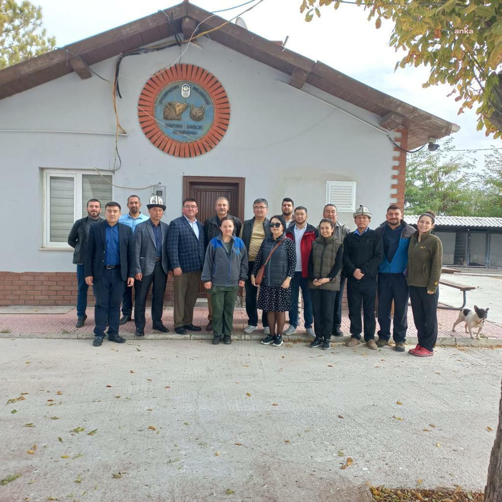 KIRGIZİSTANLI VETERİNER HEKİMLER ODUNPAZARI GEÇİCİ HAYVAN BAKIMEVİNİ ZİYARET ETTİ
