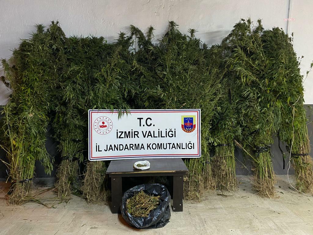 İZMİR'DE JANDARMADAN UYUŞTURUCU OPERASYONLARI