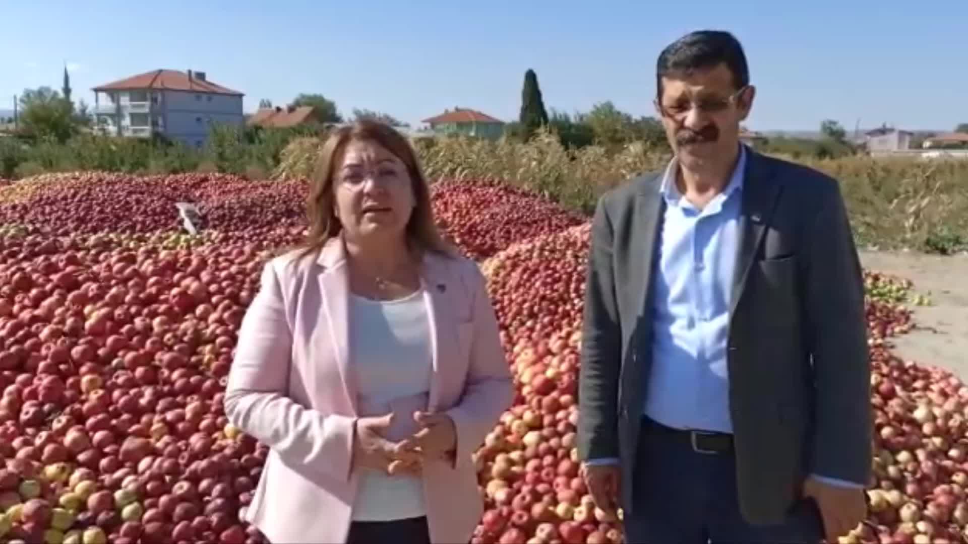GÜLİZAR BİÇER KARACA: ÇİVRİL’DEKİ ELMA AĞAÇLARI TEKER TEKER SÖKÜLÜYOR