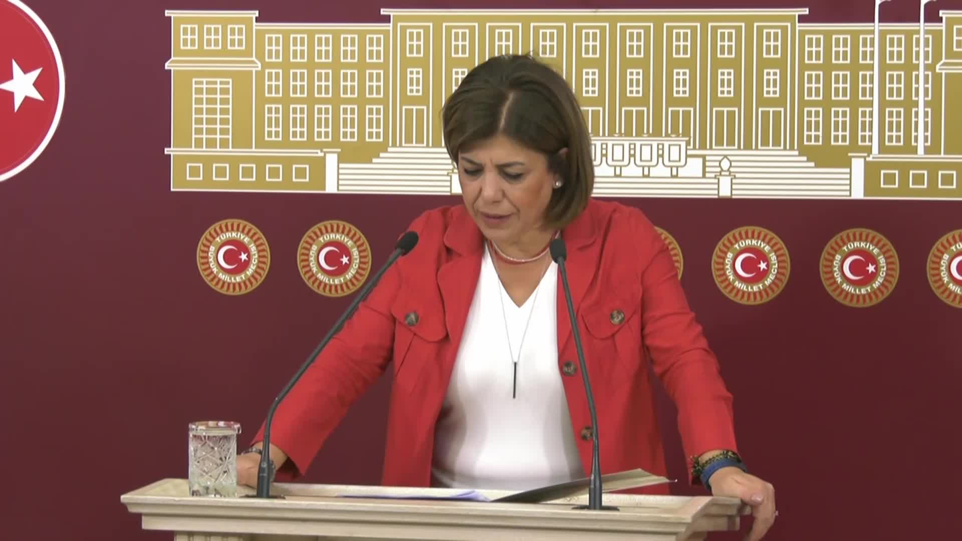 MERAL DANIŞ BEŞTAŞ: DAHA DÜN KÜRT TOPLUMUNA ÇOCUK YAPMA ÜZERİNDEN IRKÇILIK İLAN EDİLDİ. İKİ GÜN SONRA DİYARBAKIR’A GİDİP AŞK İLAN EDİYOR