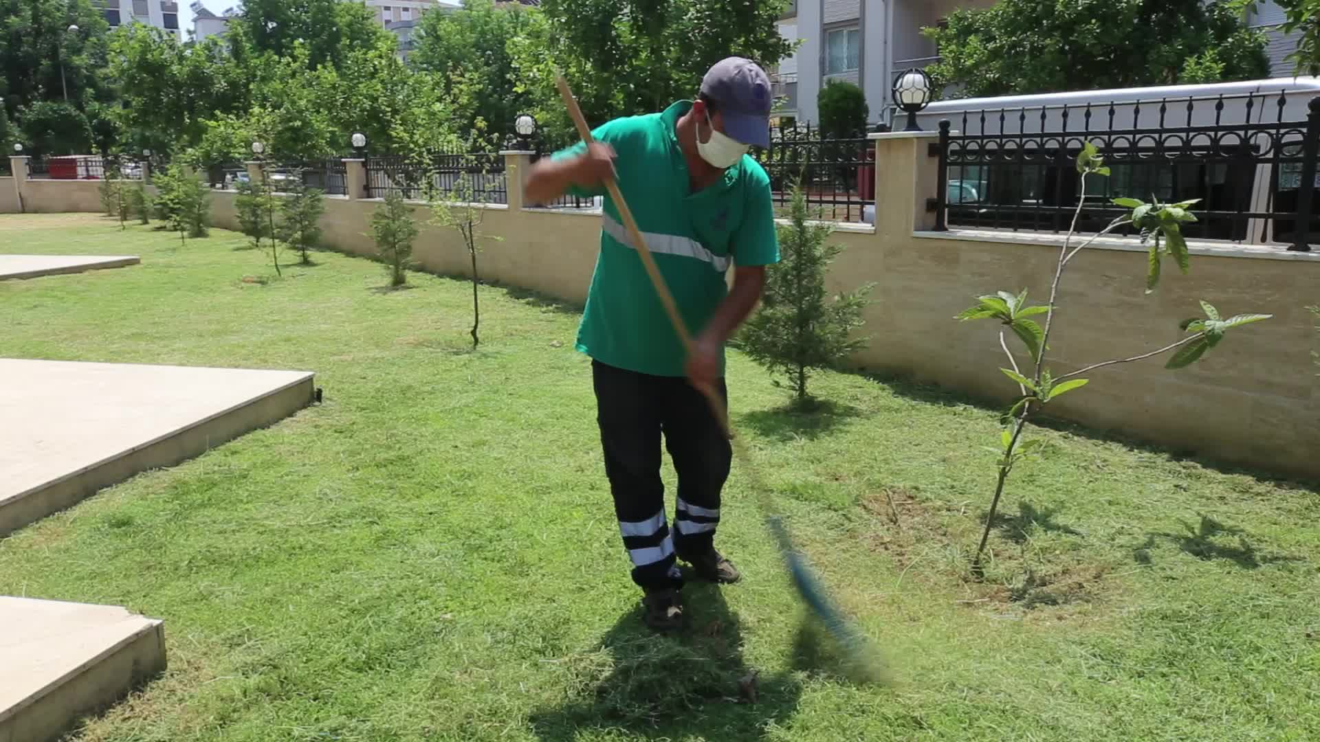 EFELER’İN YEŞİL EKİPLERİ, ÇALIŞMALARINA DEVAM EDİYOR