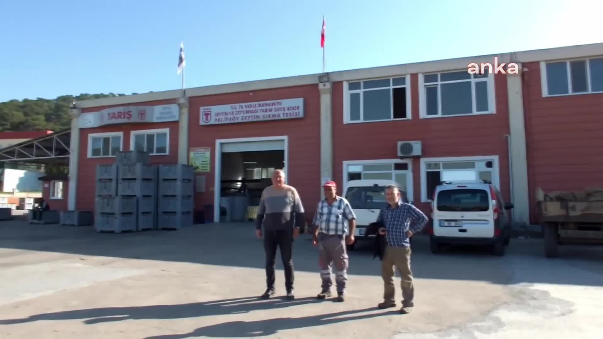 BALIKESİR'DE ZEYTİNYAĞI YÜKSEK KALİTEDE ÇIKTI, ÜRETİCİ FİYAT BEKLİYOR