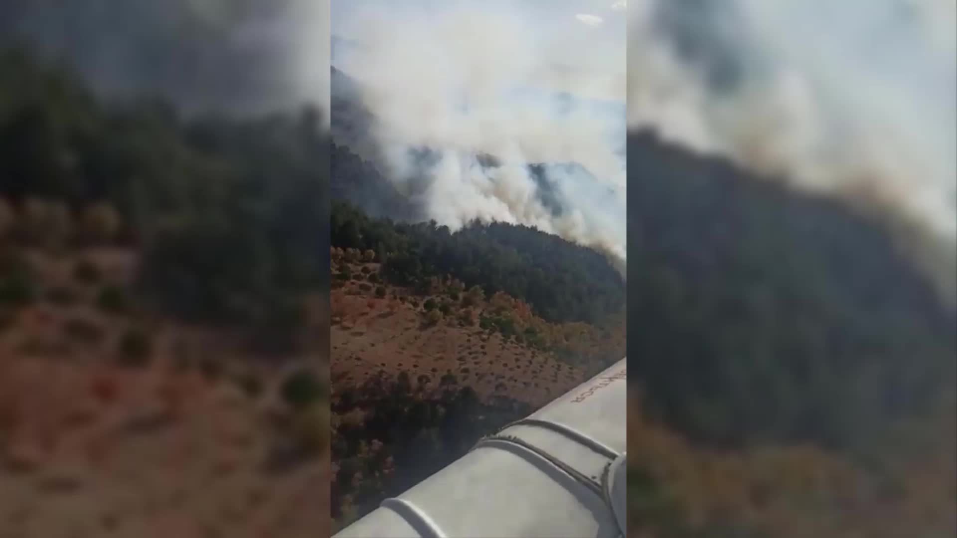 İzmir Bergama'da orman yangını çıktı