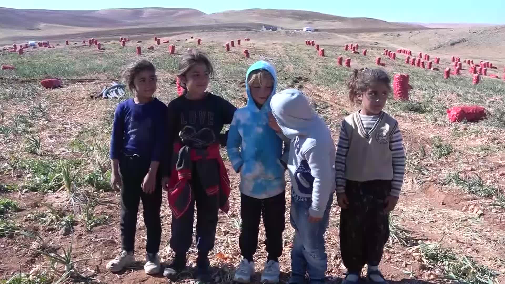 ŞEREFLİKOÇHİSAR’DA SOĞAN TARLASINDA ÇALIŞAN ŞANLIURFALI TARIM İŞÇİSİ: “ÇOCUKLAR OKULA GİDEMİYOR. BAZI ÇOCUKLAR VAR, 15 YAŞINDA DAHA BİRİNCİ SINIFI GÖRMEDİ”