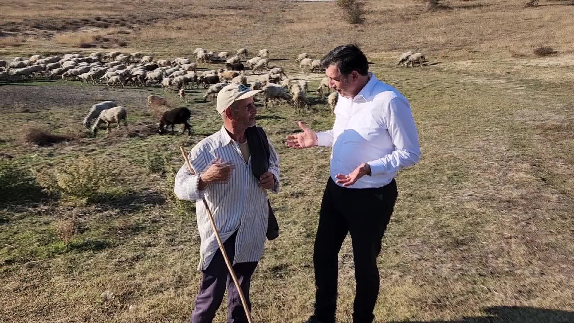 EDİRNELİ BESİCİ: BU SENE DAYANABİLDİĞİMİZ KADAR DAYANACAĞIZ. PARA YAPACAK GİBİ OLDU MU HEPSİNİ SATACAĞIZ