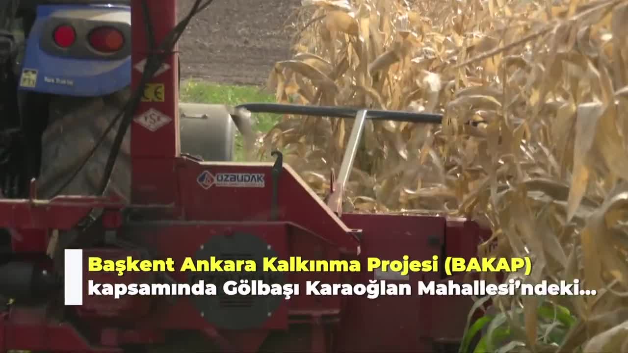 MANSUR YAVAŞ: YETİŞTİRDİĞİMİZ MISIRLIK SİLAJIN HASADINA BAŞLADIK. ÜRÜNLERİ HAYVANCILIKLA UĞRAŞAN KADIN ÜRETİCİLERİMİZE VE KÜÇÜK AİLE İŞLETMELERİNE DAĞITIYORUZ