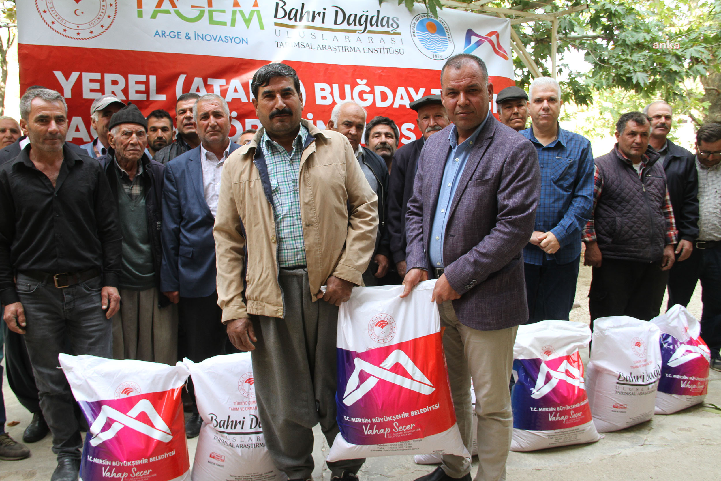 MERSİN BÜYÜKŞEHİR'İN DESTEĞİYLE ATALIK BUĞDAY ÇEŞİTLERİ GELECEK NESİLLERE AKTARILIYOR