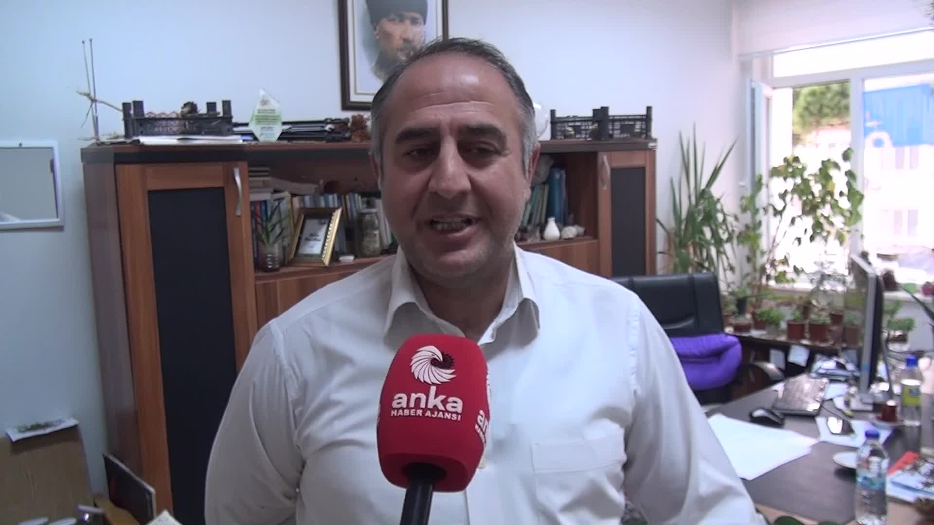 SİNOP’UN ŞİFA KAYNAĞI MEYVESİ 'BİLEYDİN' TOPLANMAYI BEKLİYOR
