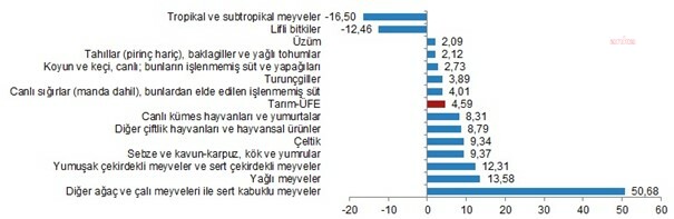 TÜİK: TARIM ÜRÜNLERİ ÜRETİCİ FİYATLARI BİR YILDA YÜZDE 163,32 ARTTI