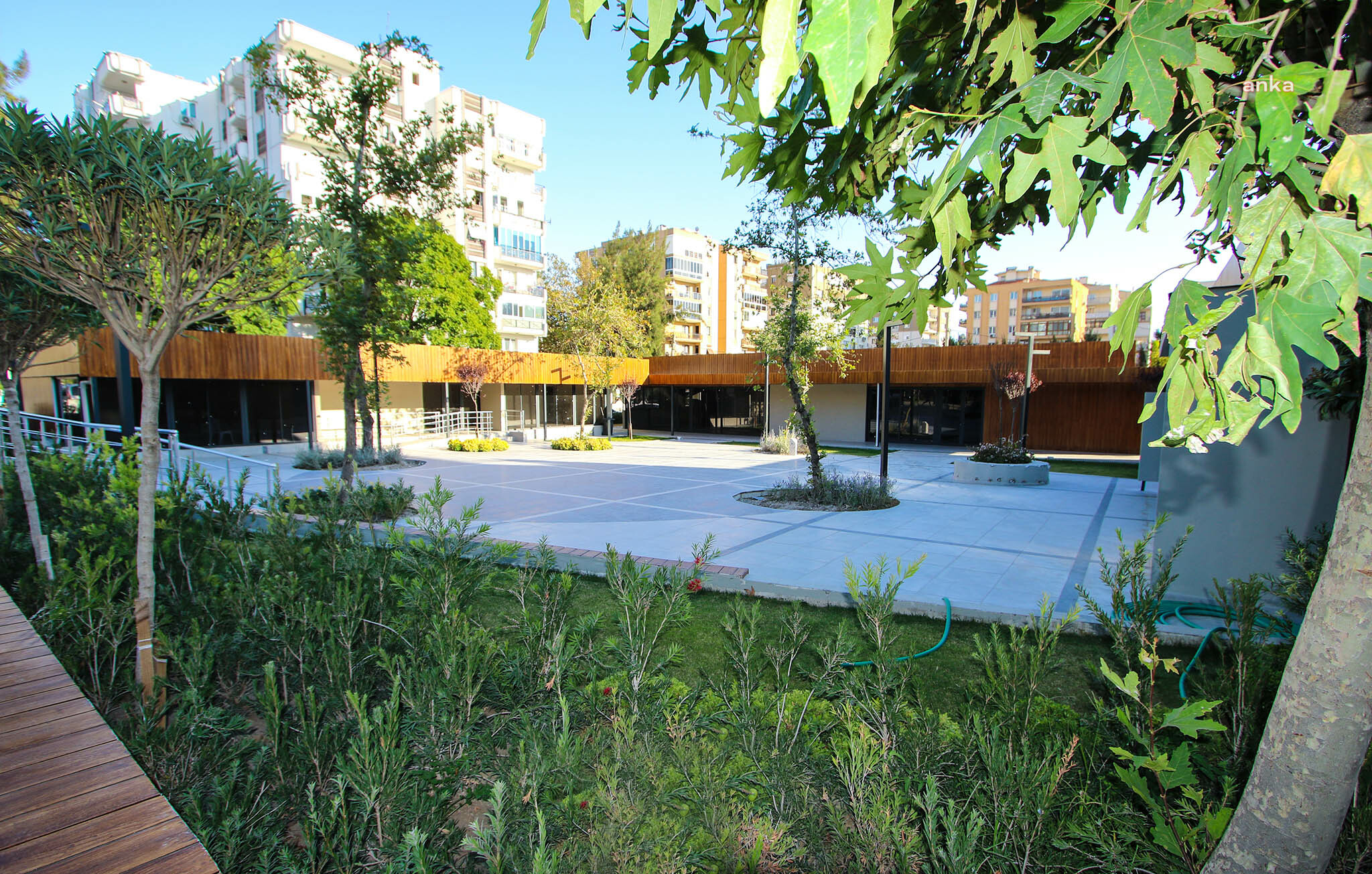 BAYRAKLI’DA 5 AYDA BİN 250 SOKAK HAYVANI TEDAVİ EDİLDİ