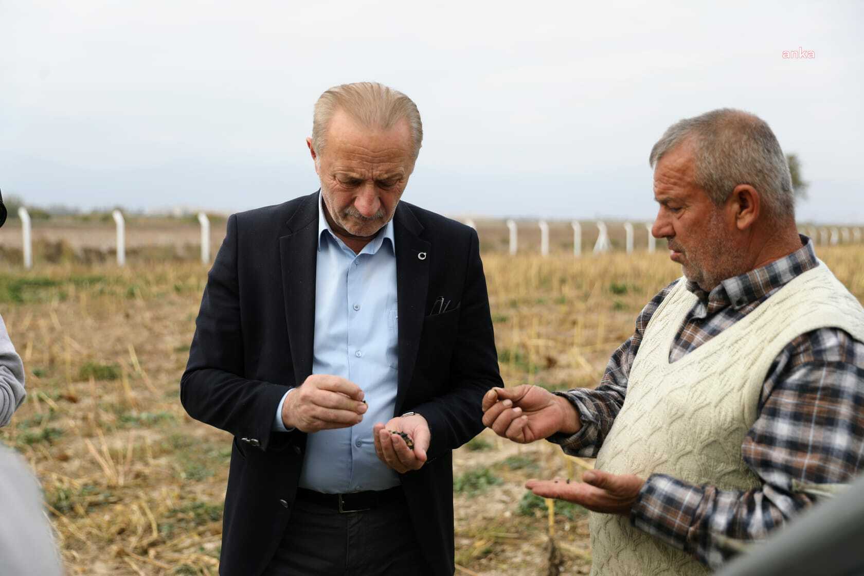 DİDİM BELEDİYESİ, KENDİ ARAZİNE EKTİĞİ AYÇİÇEĞİNİN HASADINA BAŞLADI