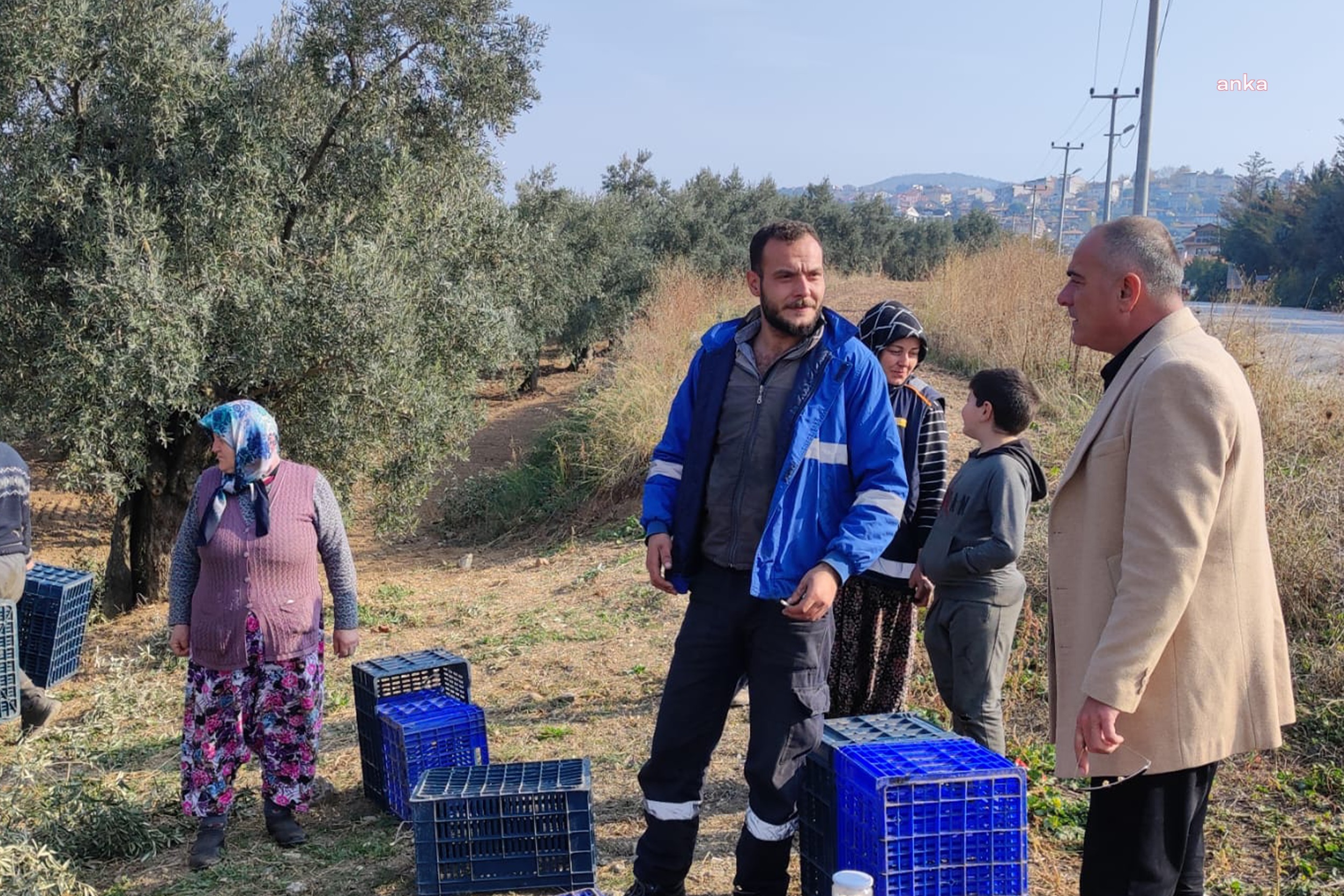 GEMLİK BELEDİYESİ KIRSAL KALKINMA OFİSİ İLE ÇİFTÇİYE DERMAN OLACAK