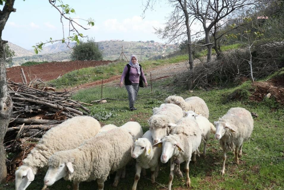 MERKEZEFENDİ BELEDİYESİ, ÜRETİCİLERİ YALNIZ BIRAKMIYOR