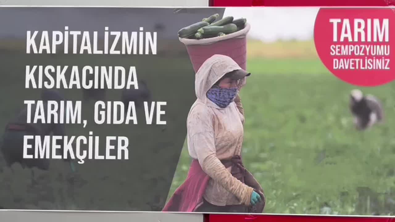 POLATLILI ÇİFTÇİ: EVE BİR KİLO SOĞANI ARTIK PAZARDAN GÖTÜRÜYORUZ. KÖYLERİMİZDE GENÇ NÜFUS KALMADI, KİMSE ÇİFTÇİLİK YAPMAK İSTEMİYOR
