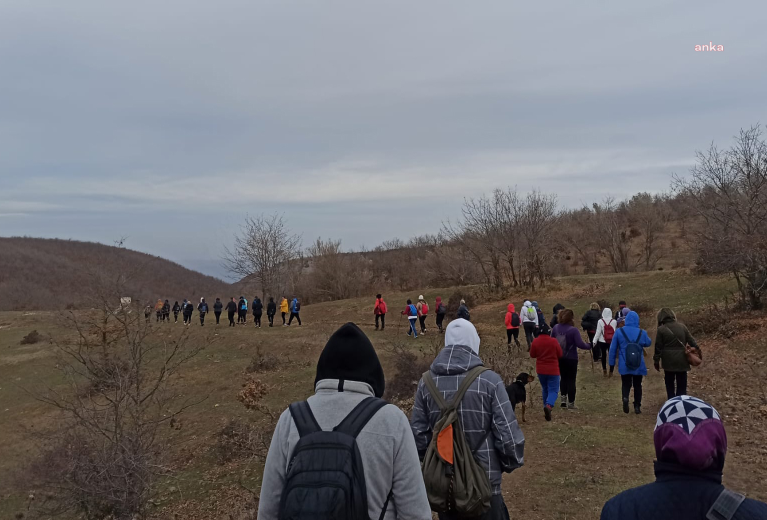 TEPEBAŞI BELEDİYESİ BOZDAĞ’A DOĞA YÜRÜYÜŞÜ DÜZENLEDİ