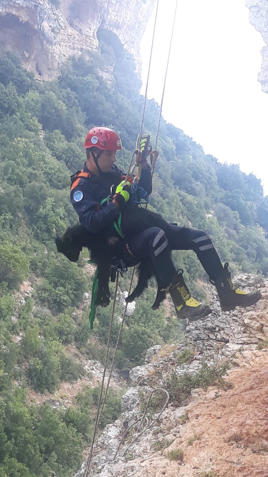 MERSİN BÜYÜKŞEHİR EKİPLERİ, 50 METRELİK UÇURUMDA MAHSUR KALAN KEÇİYİ KURTARDI