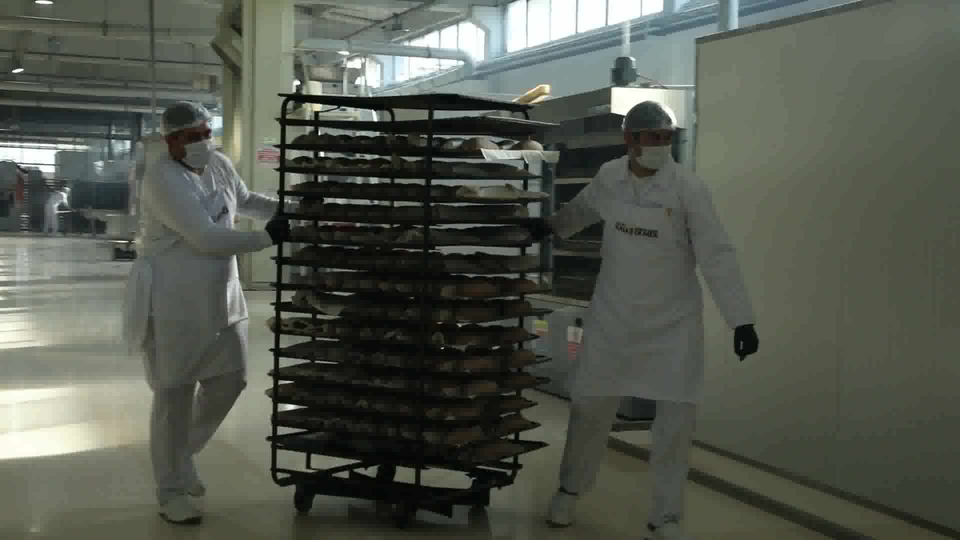 ANKARA HALK EKMEK FABRİKASI’NDAN 4 ÇEŞİT EKŞİ MAYALI EKMEK