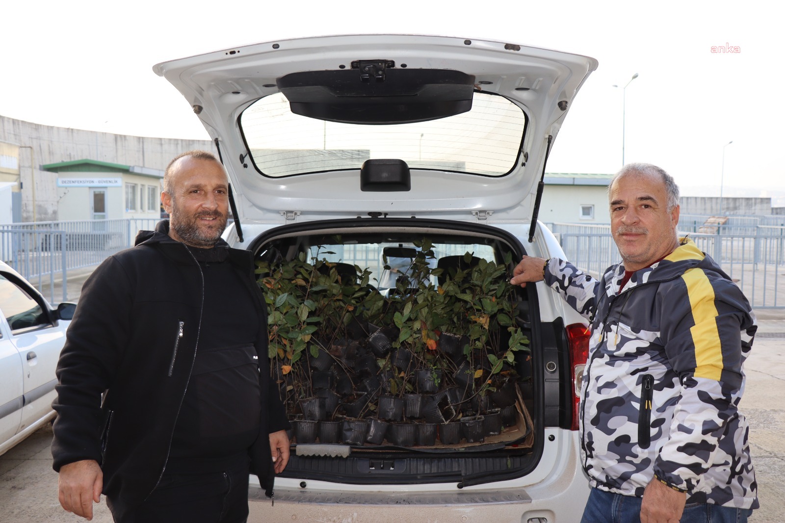 İZMİT BELEDİYESİ’NDEN ÇİFTÇİYE 2 BİN 630 ARONYA FİDANI