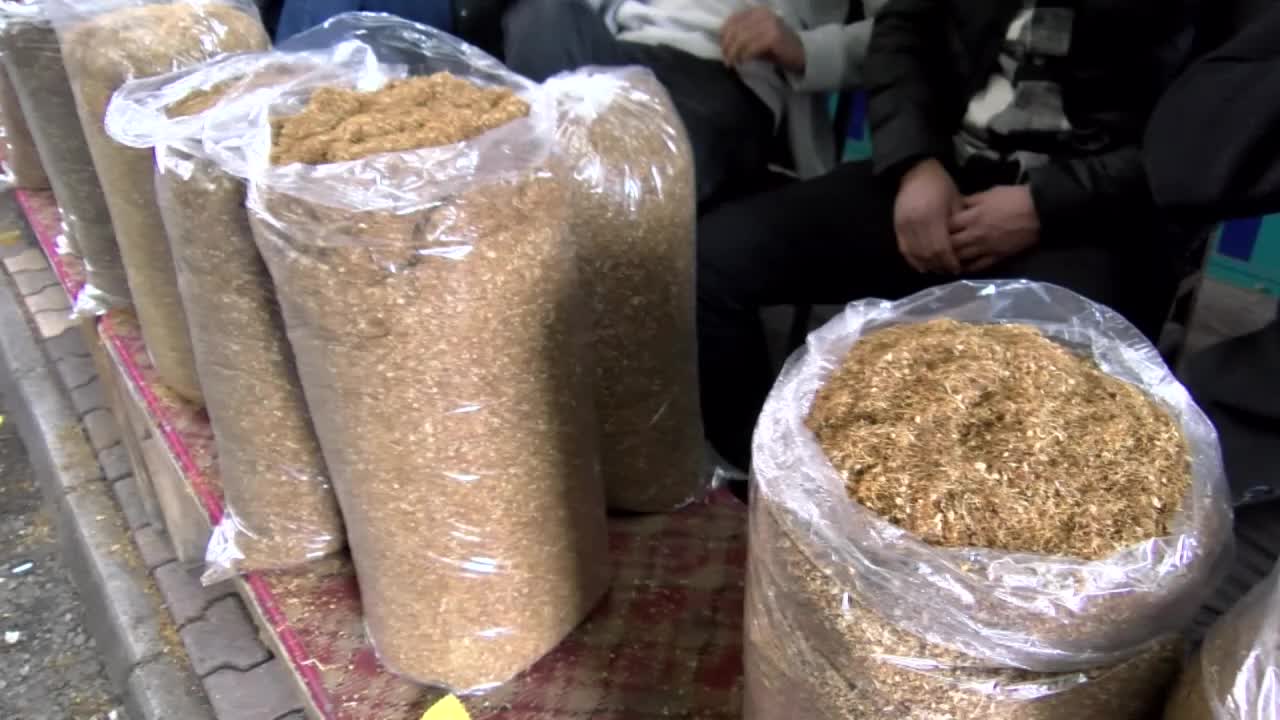 YENİ YASAYLA 1 KİLO SARMALIK TÜTÜNÜN VERGİSİ 182 TL'Yİ BULACAK. ADIYAMANLI ÜRETİCİLER TEPKİLİ: “YAPILAN AMERİKAN FİRMALARINA HİZMETTİR”