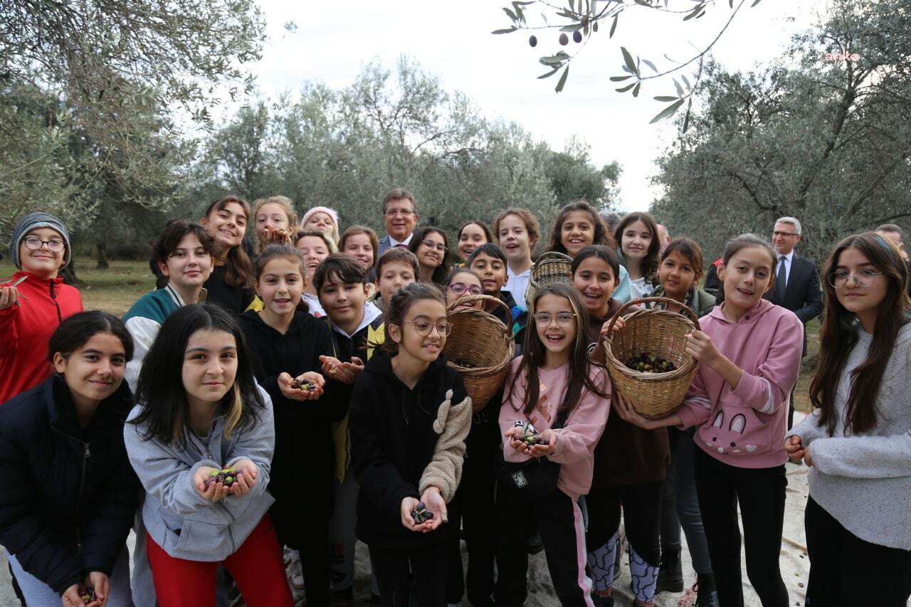 EDREMİTLİ ORTAOKUL ÖĞRENCİLERİ ZEYTİN HASADINA KATILDI