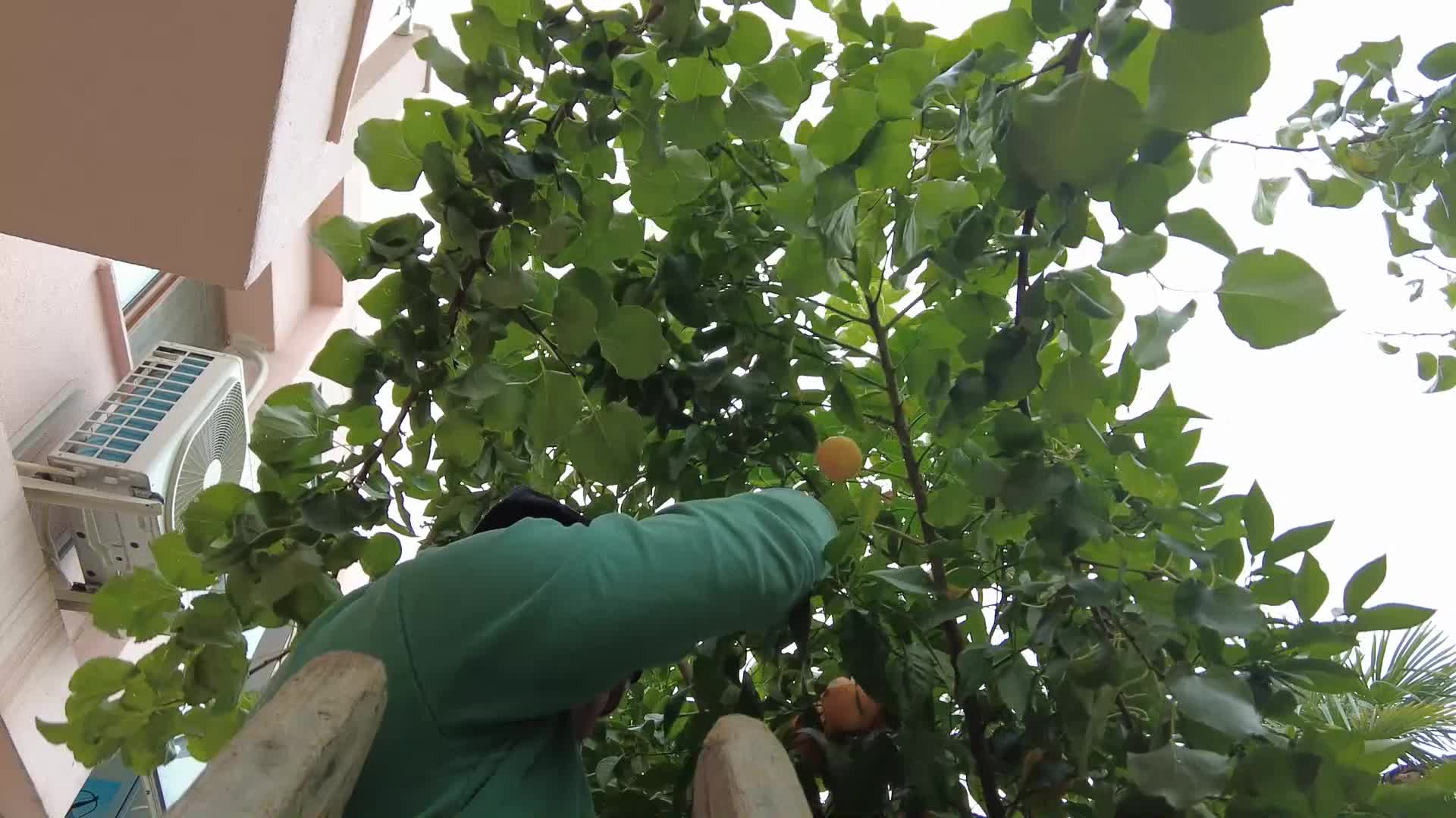 BORNOVALI KADINLAR MUTFAKTA BULUŞUYOR