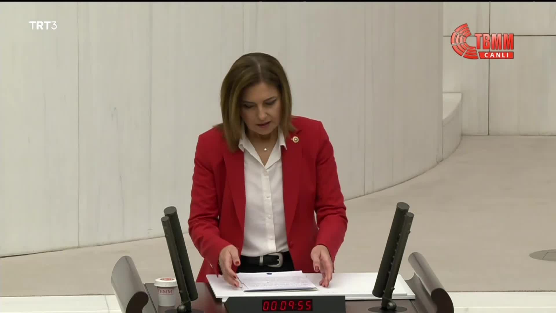 EMİNE GÜLİZAR EMECAN'DAN "KKM" ELEŞTİRİSİ: "MERKEZ BANKASI BAŞKANI, MECLİS’İ BİLGİLENDİRME GÖREVİNİ YAPAMADIĞI VE BİLGİ GİZLEDİĞİ İÇİN NE KADAR ÖDENDİĞİNİ HENÜZ ÖĞRENEMEDİK"