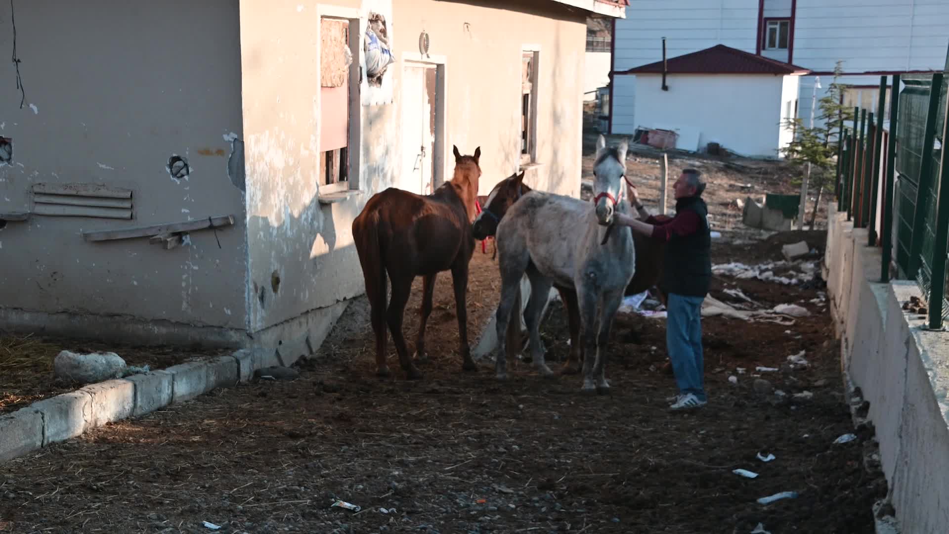 YOZGAT’TA OKUL BAHÇESİNDE KURULAN ÇİFTLİKTE ÖĞRENCİLER BİNİCİLİK EĞİTİMİ ALIYOR