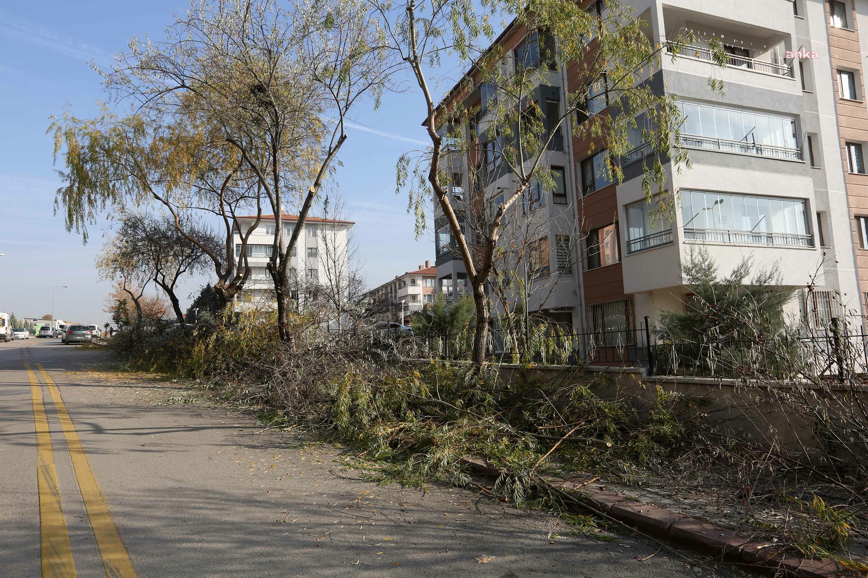 YENİMAHALLE BELEDİYESİ’NDEN BUDAMA ÇALIŞMASI
