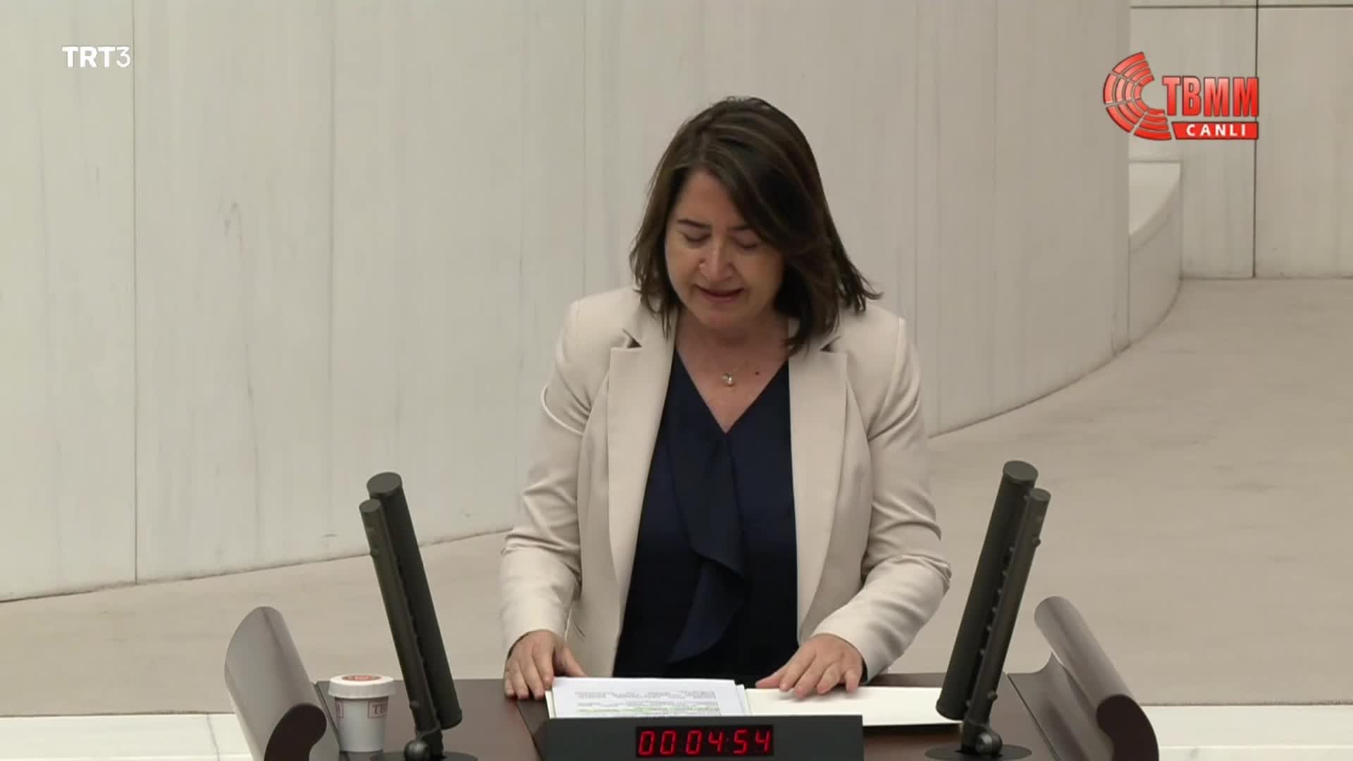 HDP’Lİ KEMALBAY’DAN AKP’YE, "SOL JARGONDA BUNA OPORTÜNİZM DENİR" ELEŞTİRİSİ