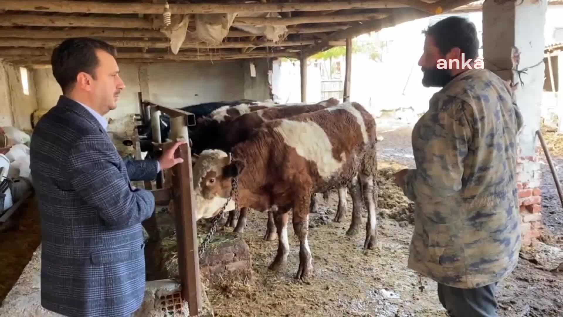 MANİSALI BESİCİ: "MALİYETLERİ KARŞILAYAMIYORSAN YAPABİLECEĞİN TEK ŞEY BIRAKMAK"