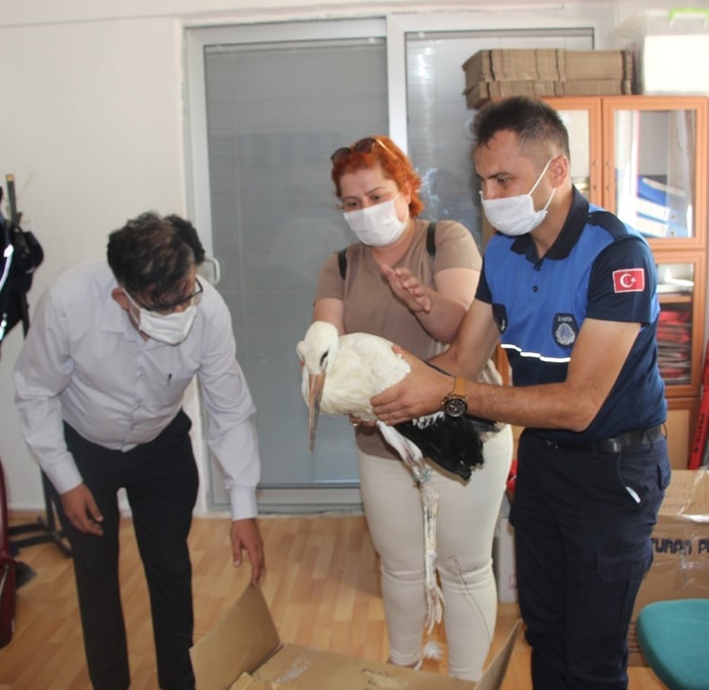 SEYDİŞEHİR'DE, YARALI LEYLEĞE, ZABITA EKİPLERİ SAHİP ÇIKTI