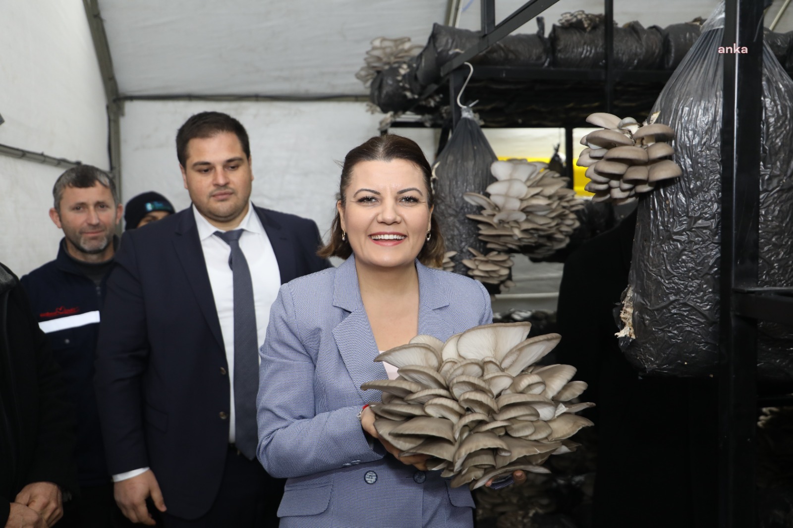 İZMİT BELEDİYESİ, İSTİRİDYE MANTARI ÜRETİMİNE YENİ YILDA DA DEVAM EDECEK