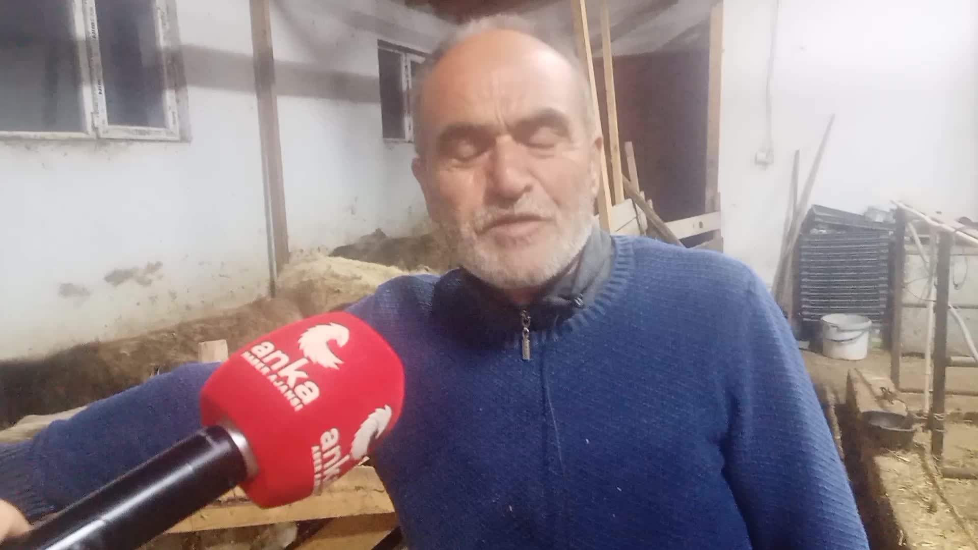 ARTVİNLİ BESİCİ: “ÇOBAN HAYAL OLDU, BİR ÇOBANIN GİDERİ BİZE 10 BİN LİRA. ÇOBAN SIKINTISINDAN OTUMUZU BİÇEMİYORUZ”