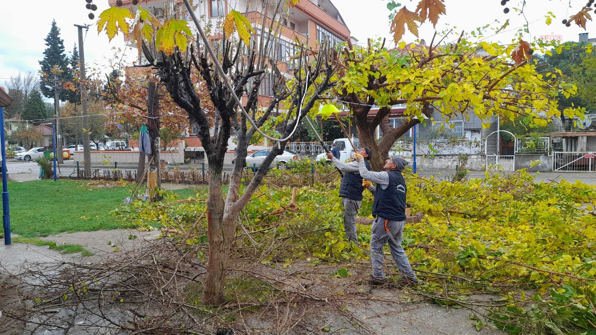 BURHANİYE BELEDİYESİ PARKLARDA YENİLEME ÇALIŞMALARINA BAŞLADI