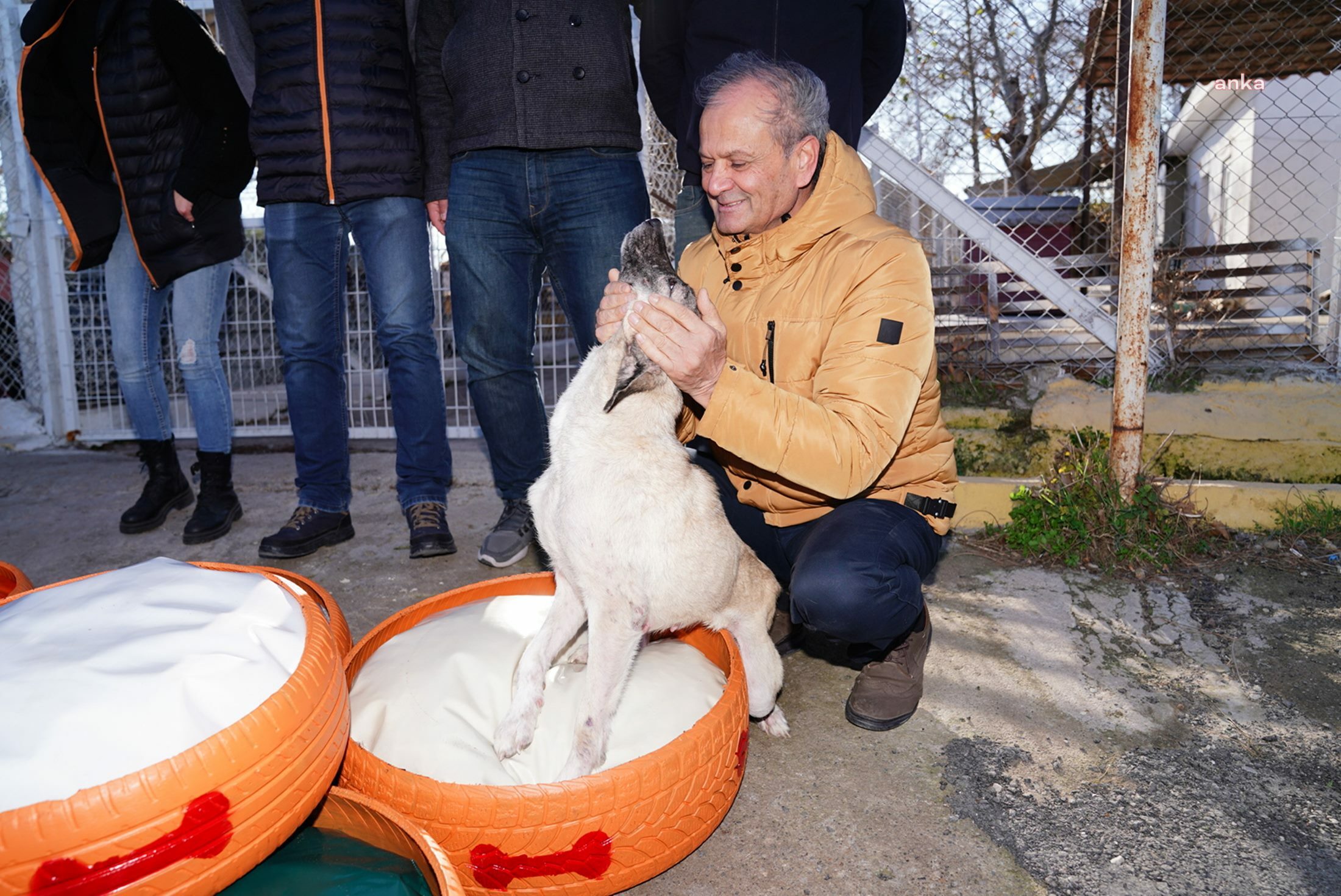 AYVALIK'TA ESKİ LASTİKLER, BARINAKTAKİ PATİLİ DOSTLARA YATAK OLDU