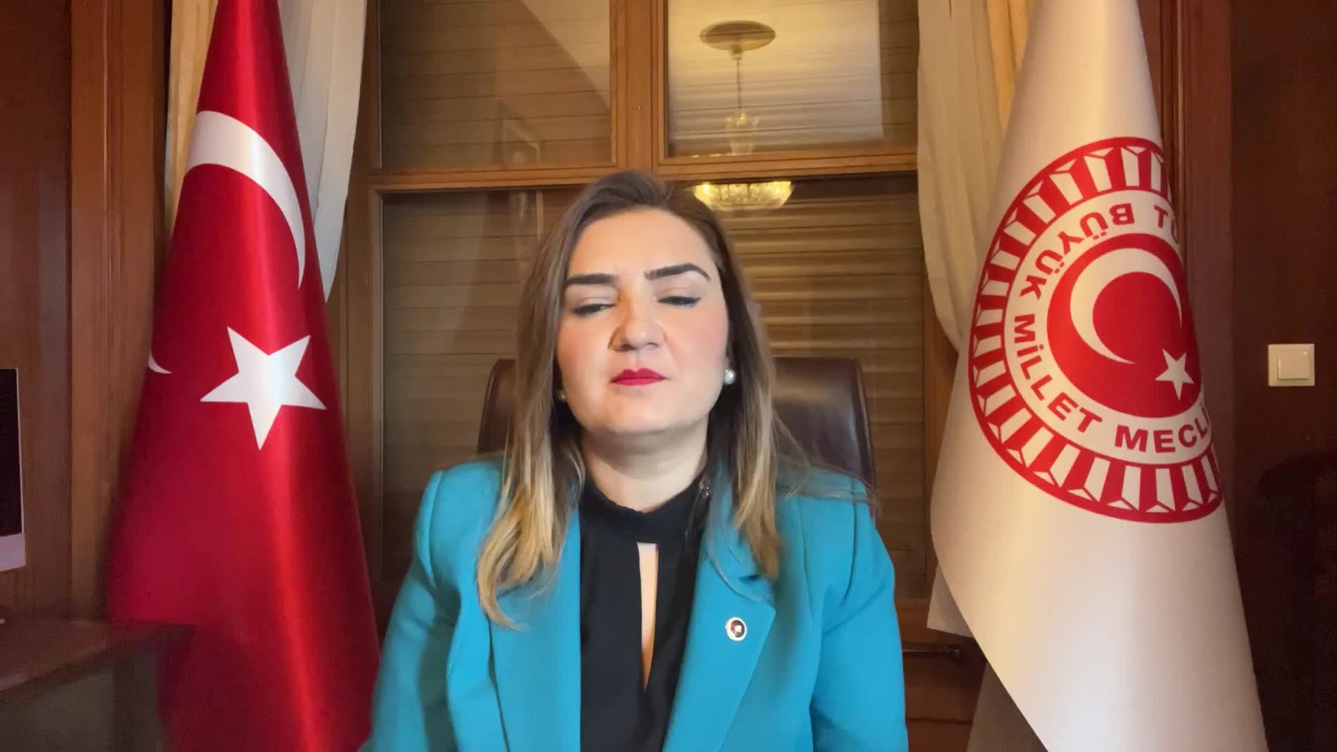 SEVDA ERDAN KILIÇ: HAVELSAN'DA LİYAKATLİ UZMAN MÜHENDİSLER BASKI VE ŞANTAJLA İŞTEN ÇIKARILIYOR