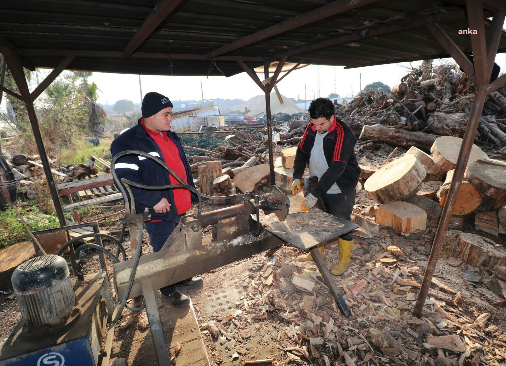 TURGUTLU'DA BUDANAN AĞAÇ DALLARI İHTİYAÇ SAHİPLERİNE YAKACAK OLUYOR