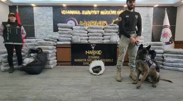 İSTANBUL'DA 453 KİLO 200 GRAM HİNT KENEVİRİ ELE GEÇİRİLDİ