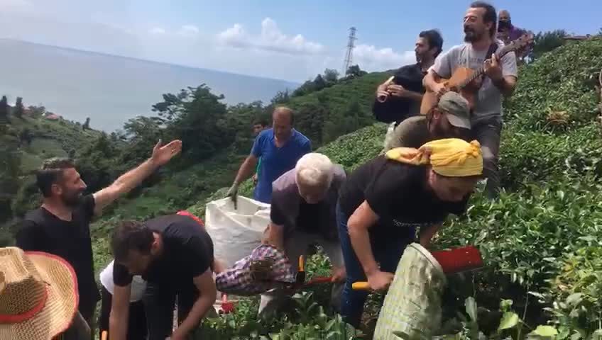 FINDIKLI'DA SANATÇILAR TULUM EŞLİĞİNDE 'MECİ' USULÜ ÇAY TOPLADI
