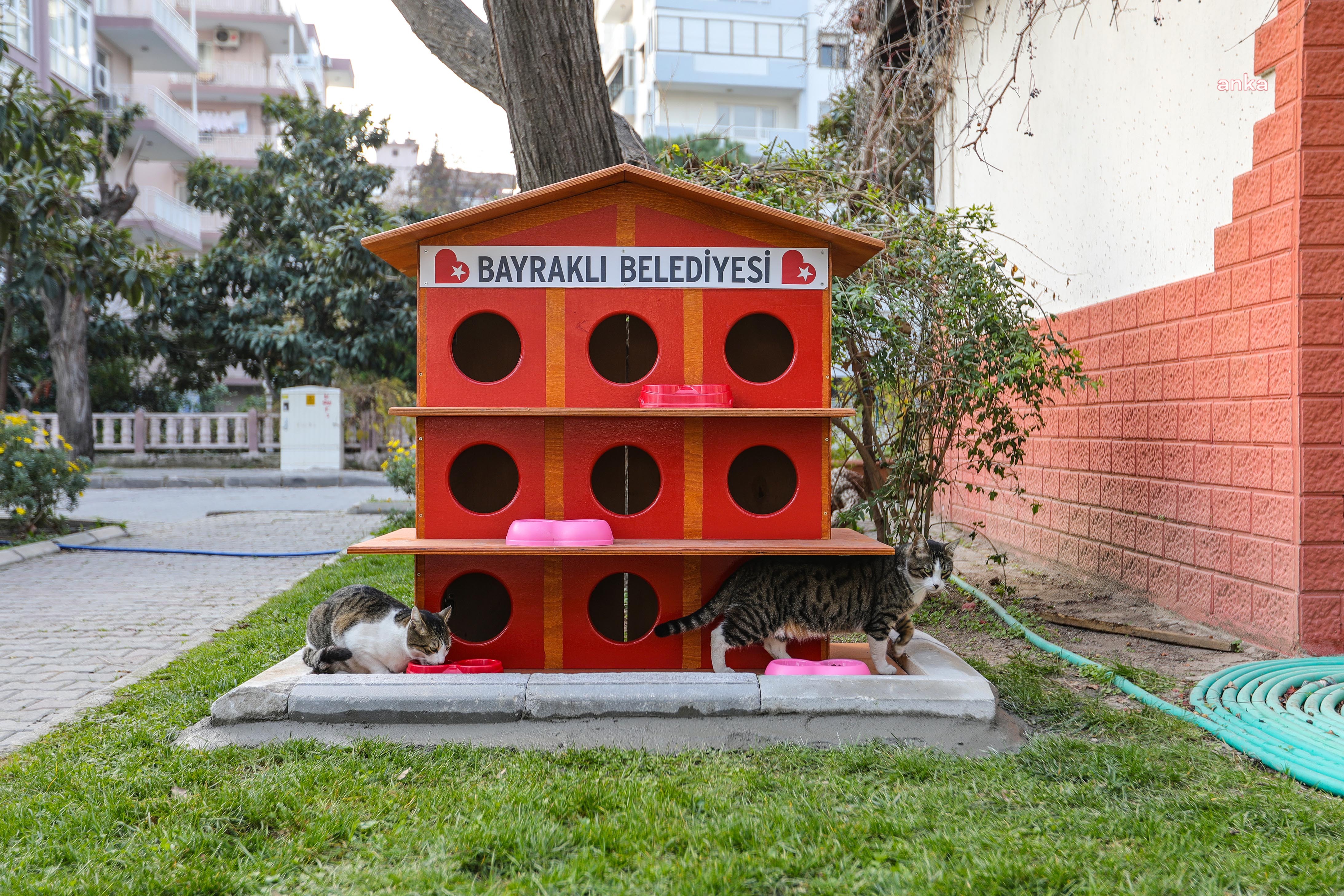 BAYRAKLI’DA SOKAK KEDİLERİ YENİ YUVALARINA KAVUŞTU