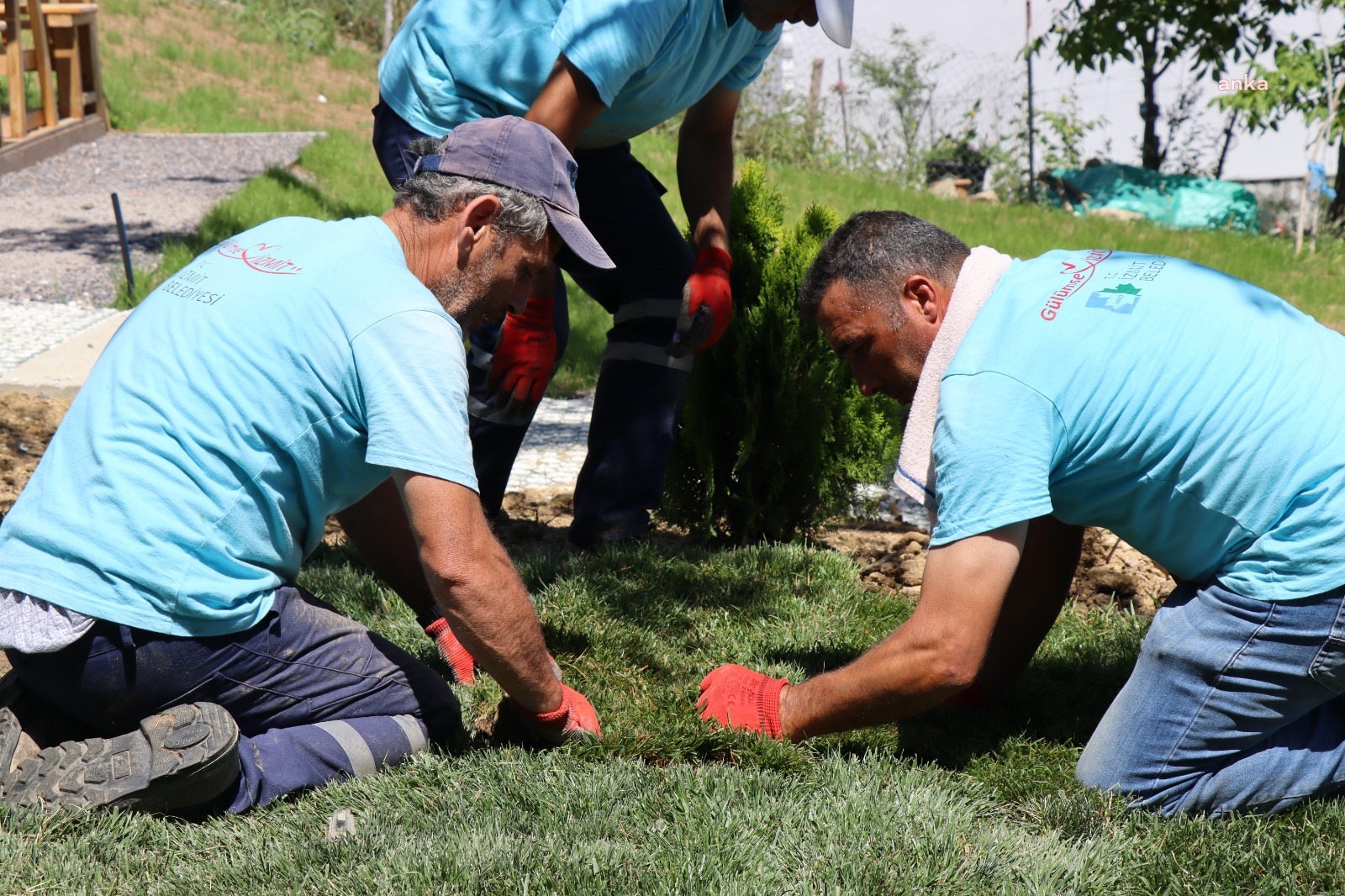 İZMİT BELEDİYESİ EKİPLERİ, 2022’DE ON BİNLERCE AĞAÇ DİKTİ