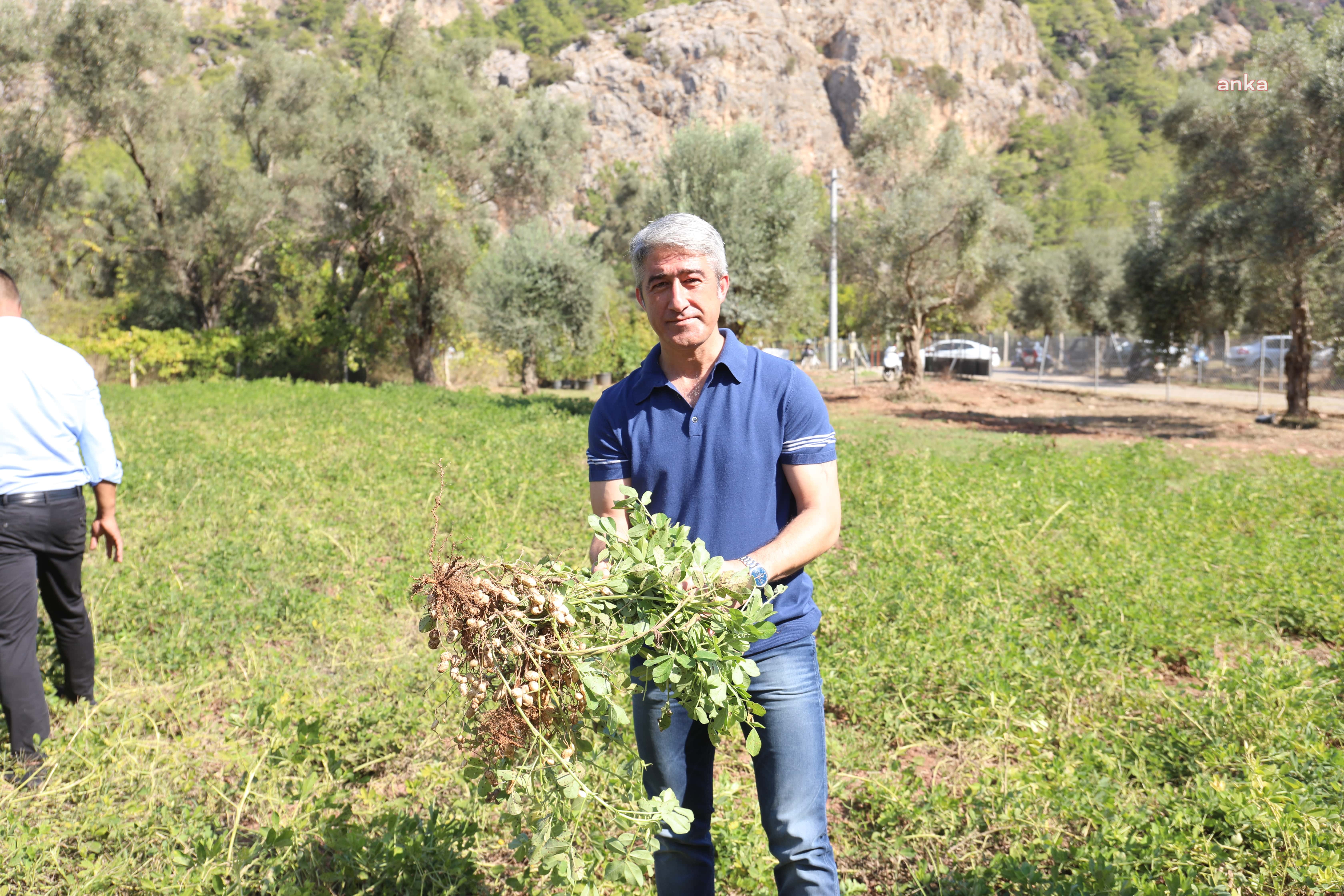 MARMARİS BELEDİYESİ, 2022’DE KENTTEKİ YEŞİL ALAN MİKTARINI ARTIRDI