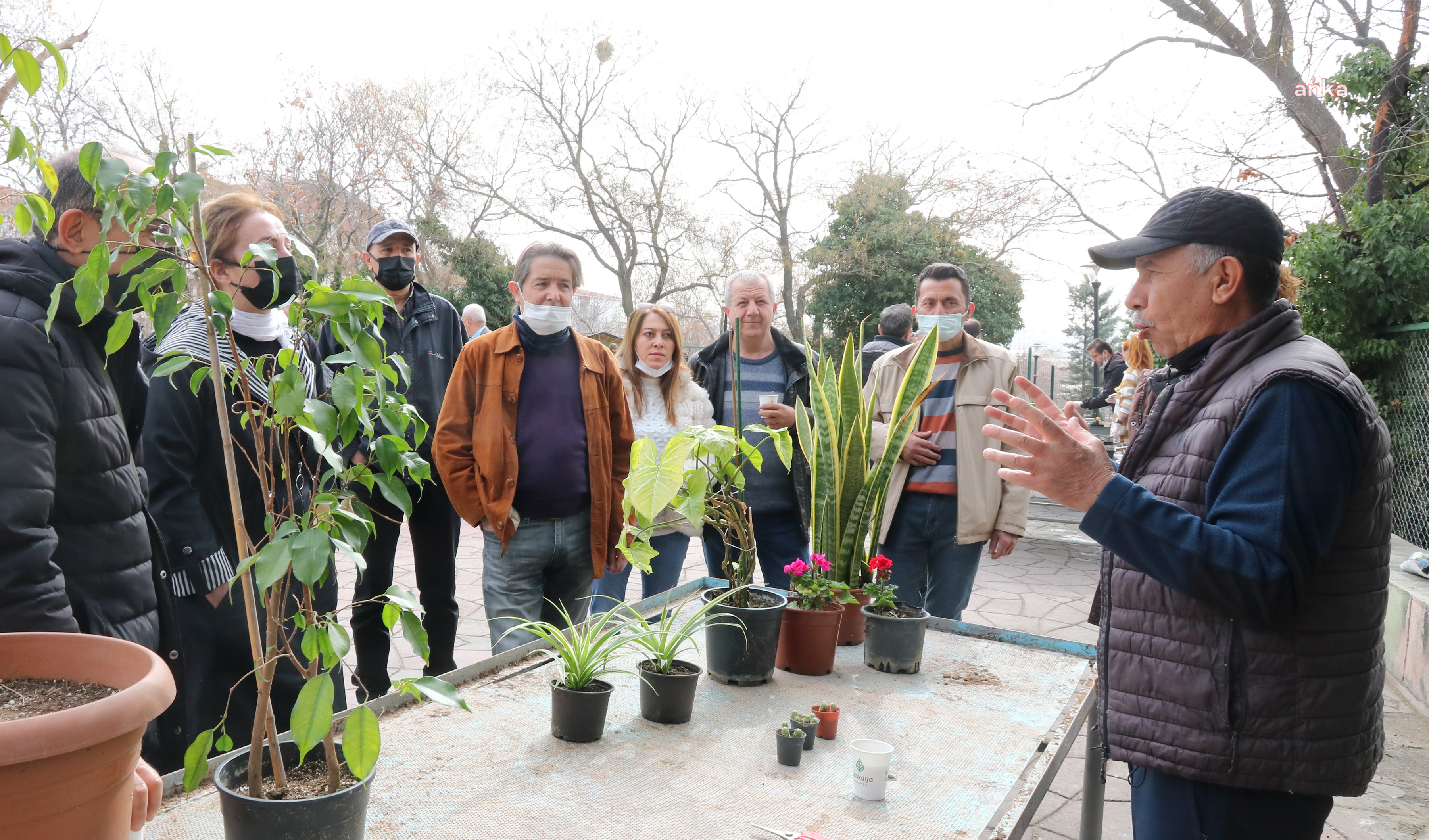 ÇANKAYALILAR, KENTTE TARIM ÖĞRENİYOR