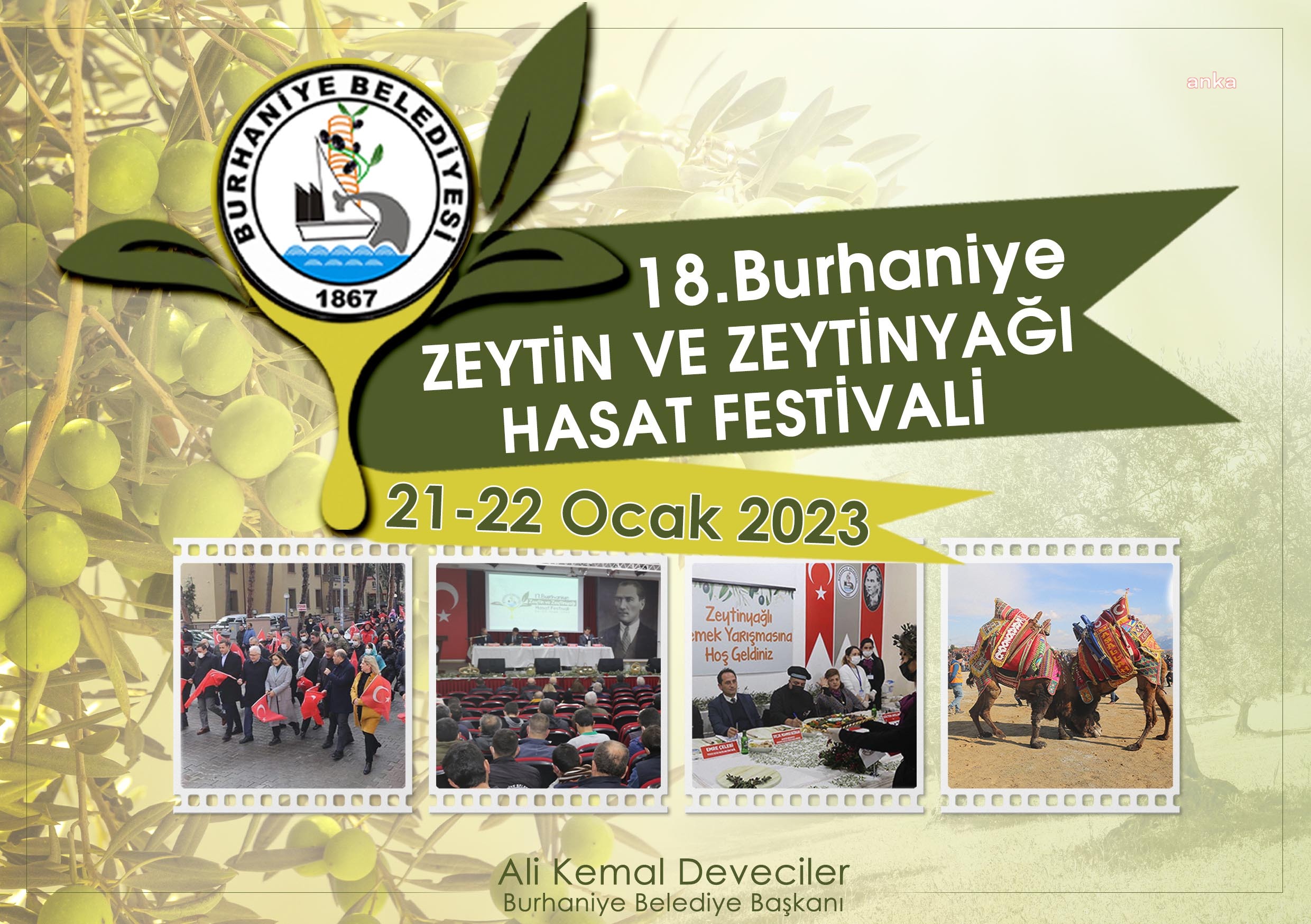 BURHANİYE ZEYTİN HASAT FESTİVALİ İÇİN GERİ SAYIM BAŞLADI