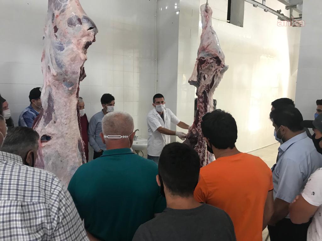 KDZ.EREĞLİ'DE KURBAN KESİM EĞİTİMİ